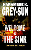 Welcome to The Sink