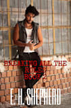 BREAKING ALL THE RULES: BOOK 2