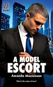 A Model Escort