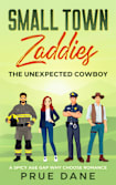 Small Town Zaddies: The Unexpected Cowboy