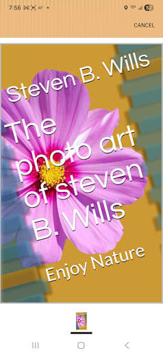 Steven Wills and his nature art 