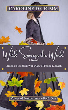 Wild Sweeps the Wind: The Civil War Diary of Phebe F. Beach (Voices of Pondicherry Book 1)
