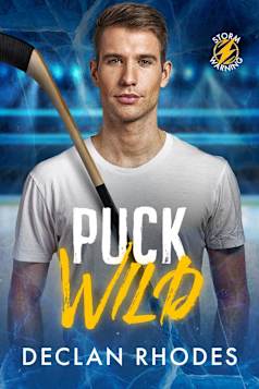 Puck Wild: A MM Hockey Romance (Storm Warning Book 1)