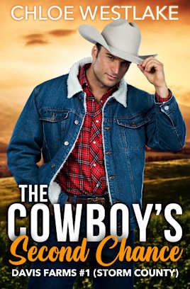 The Cowboy’s Second Chance (Storm County: Davis Farms #1)