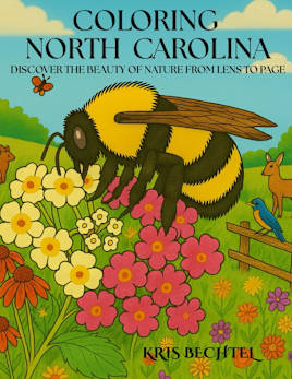 Coloring North Carolina