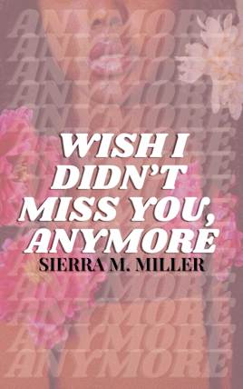 Wish I Didn’t Miss You, Anymore