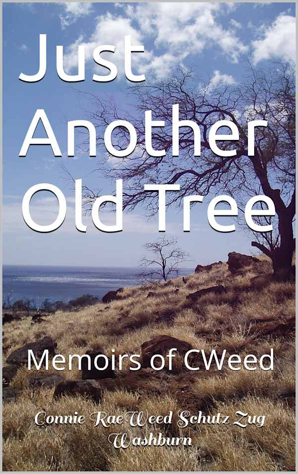 Just Another Old Tree