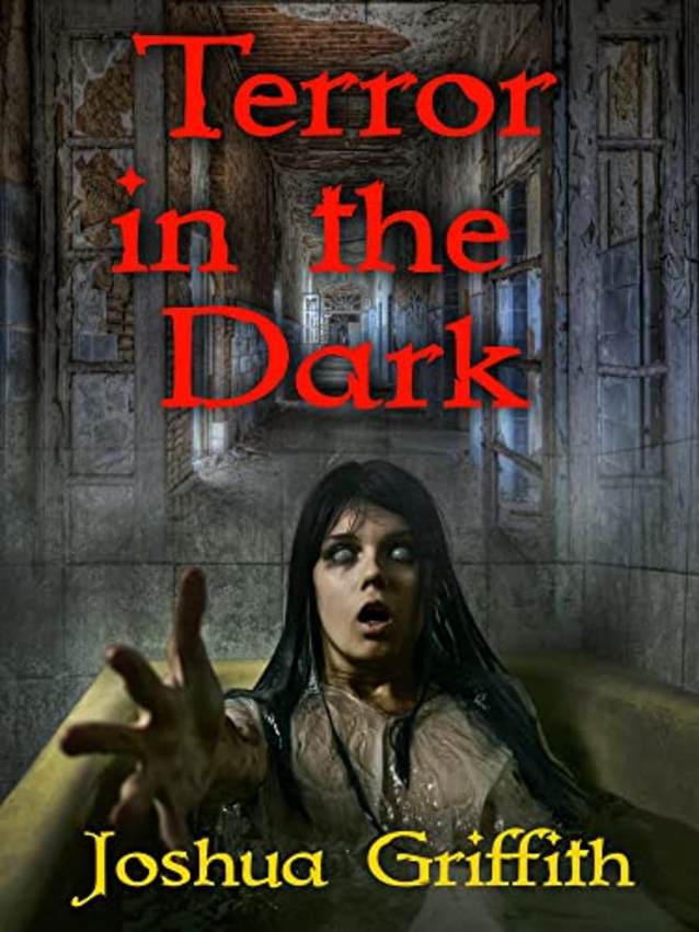 Terror in the Dark : A collection of Supernatural Horror stories