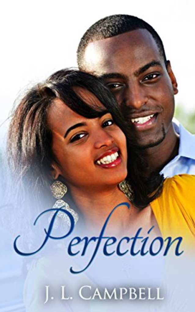 Perfection (Sisters-in-Love Book 1)