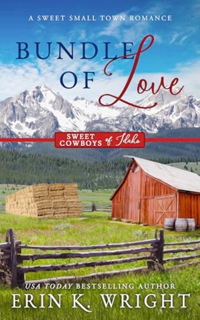 Bundle of Love: A Small Town Office Sweet Romance (Sweet Cowboys of Idaho, #7)