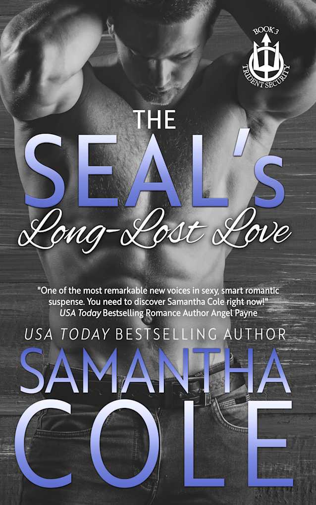 The SEAL's Long-Lost Love