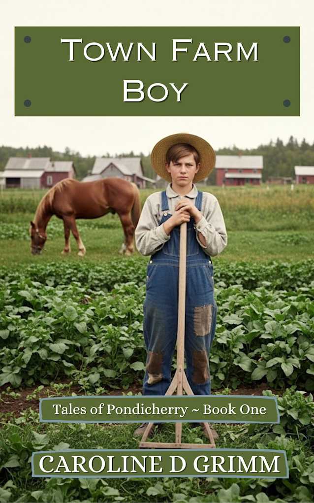 Town Farm Boy (Tales of Pondicherry)