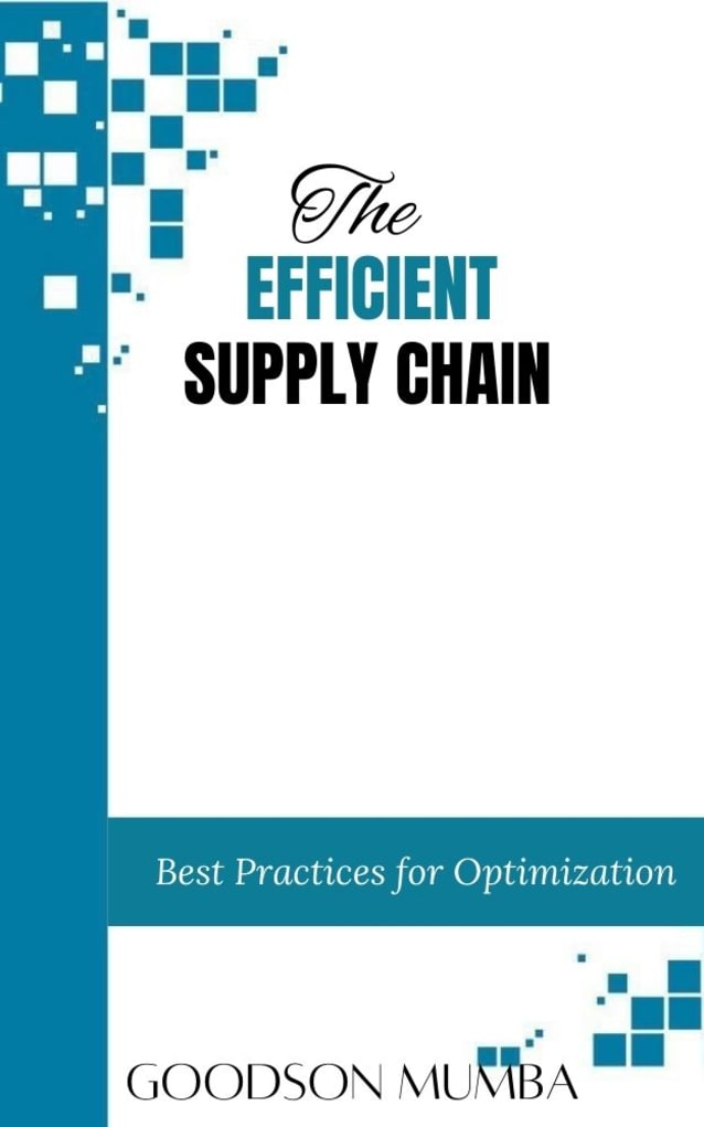 THE EFFICIENT SUPPLY CHAIN 