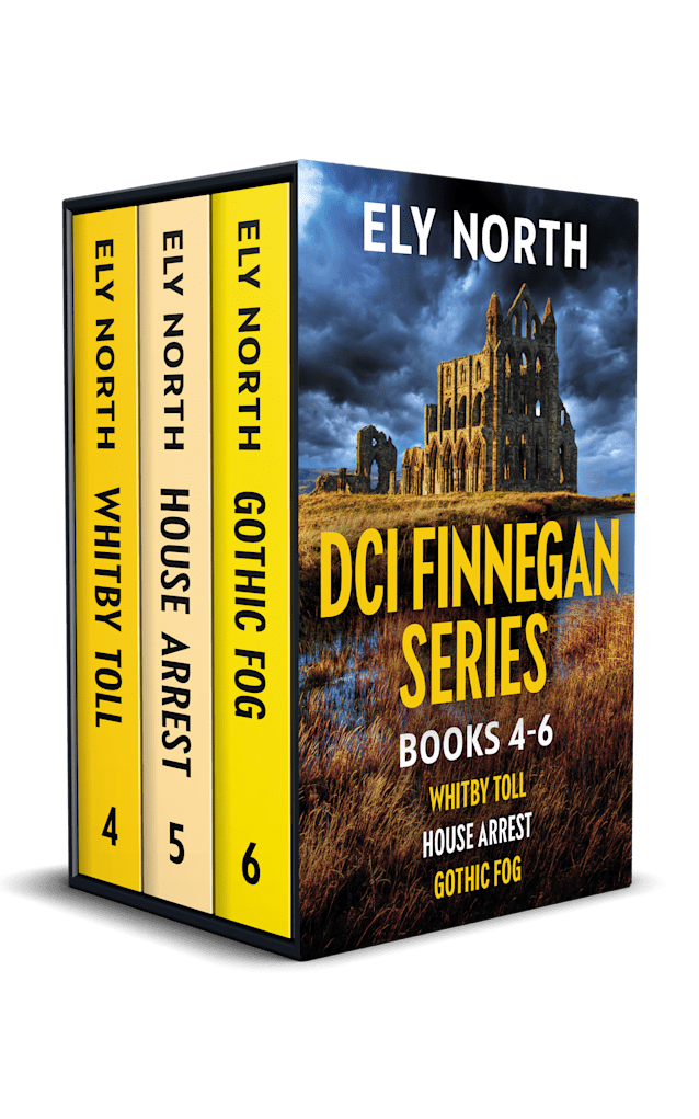 DCI Finnegan Series #2