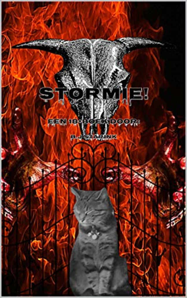 Stormie! : Een 18+ boek (Dutch Edition)