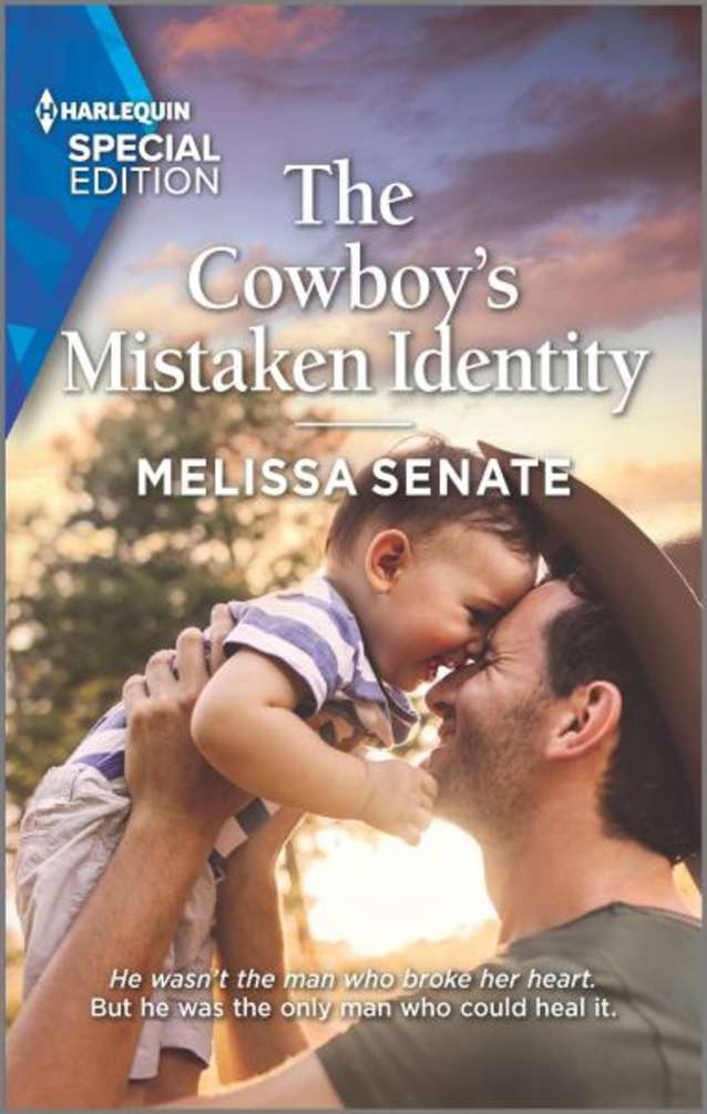 The Cowboy’s Mistaken Identity