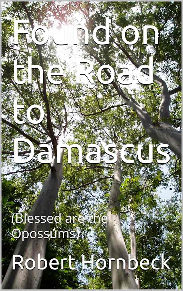 Found on the Road to Damascus : (Blessed are the Opossums)