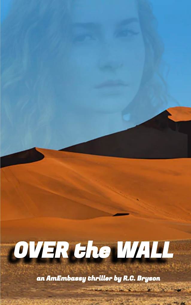 Over the Wall (AmEmbassy Thrillers Book 1)
