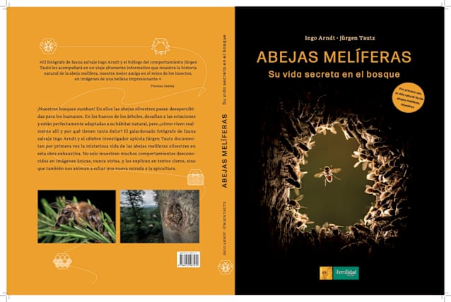 Abejas Melíferas
