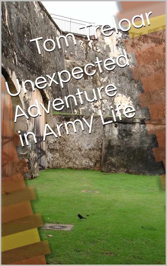 Unexpected Adventure in Army Life