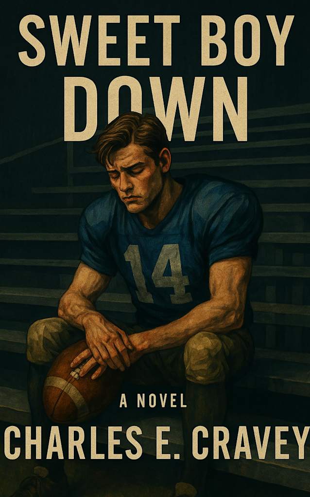 Sweet Boy Down: A Novel