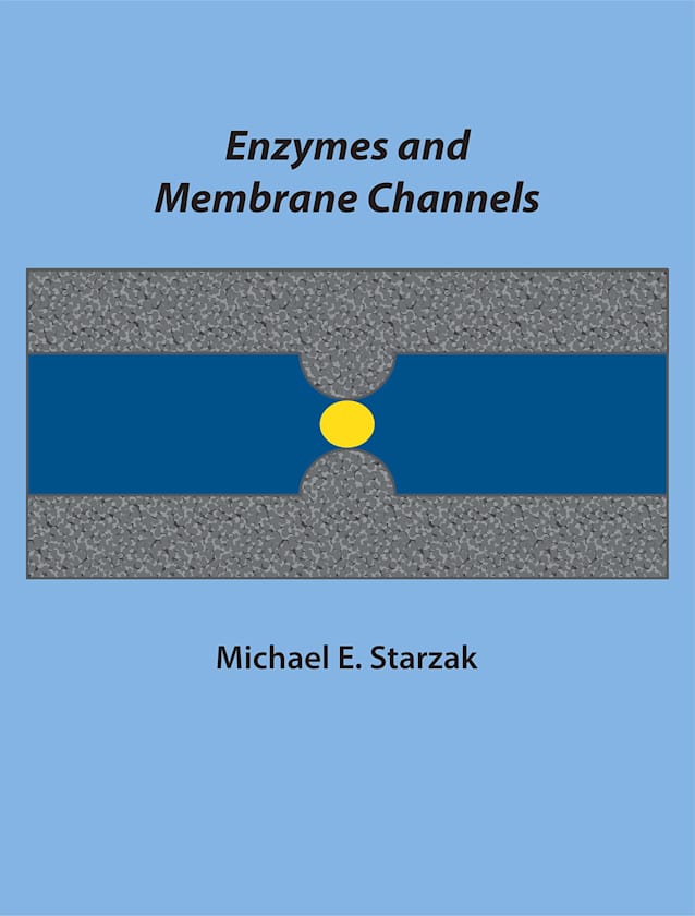 Enzymes and Membrane Channels