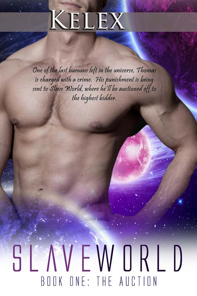 Slave World Book I:  The Auction