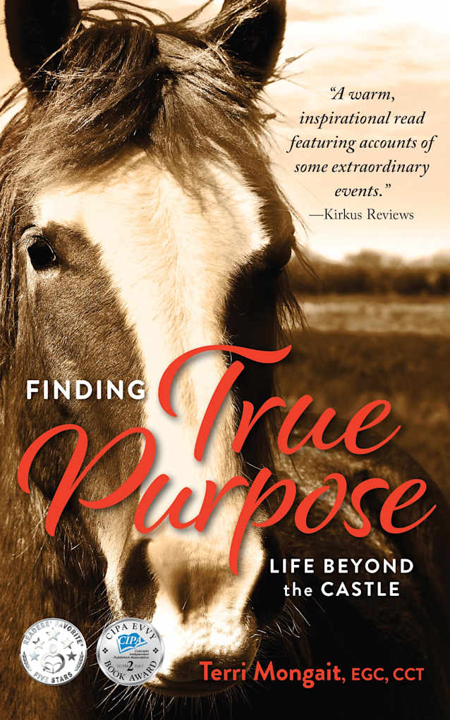 Finding True Purpose: Life Beyond The Castle