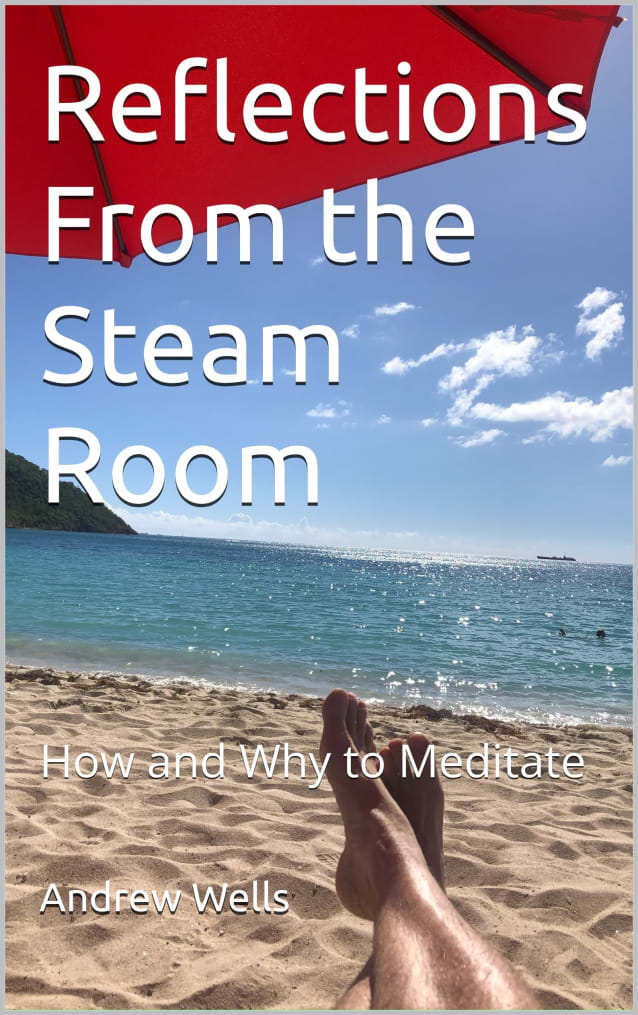 Reflections From the Steam Room : How and Why to Meditate