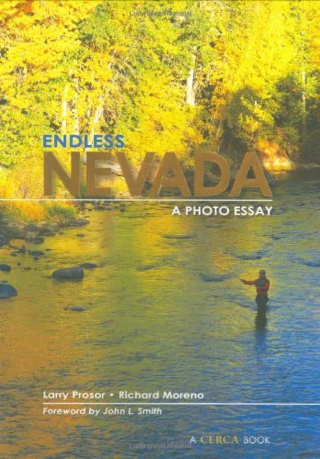 Endless Nevada