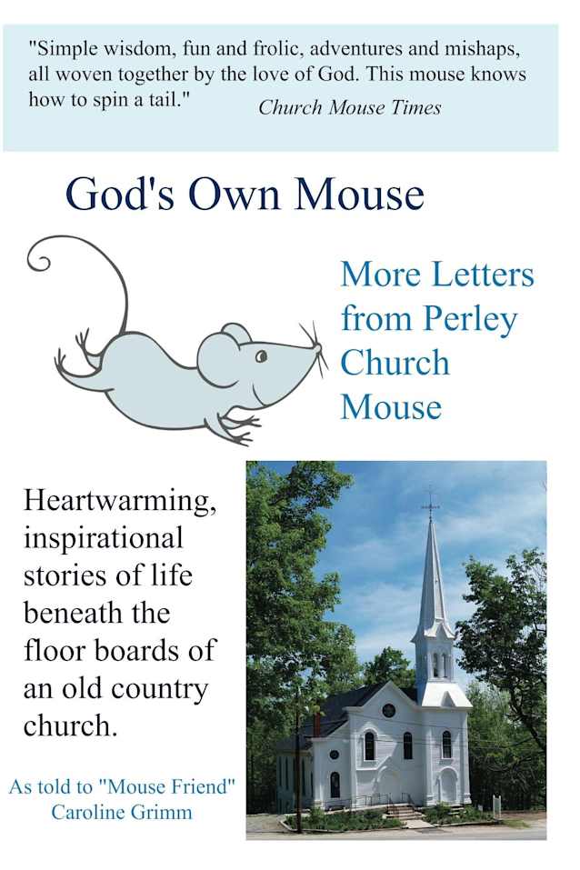 God’s Own Mouse (Letters from Perley Book 2)