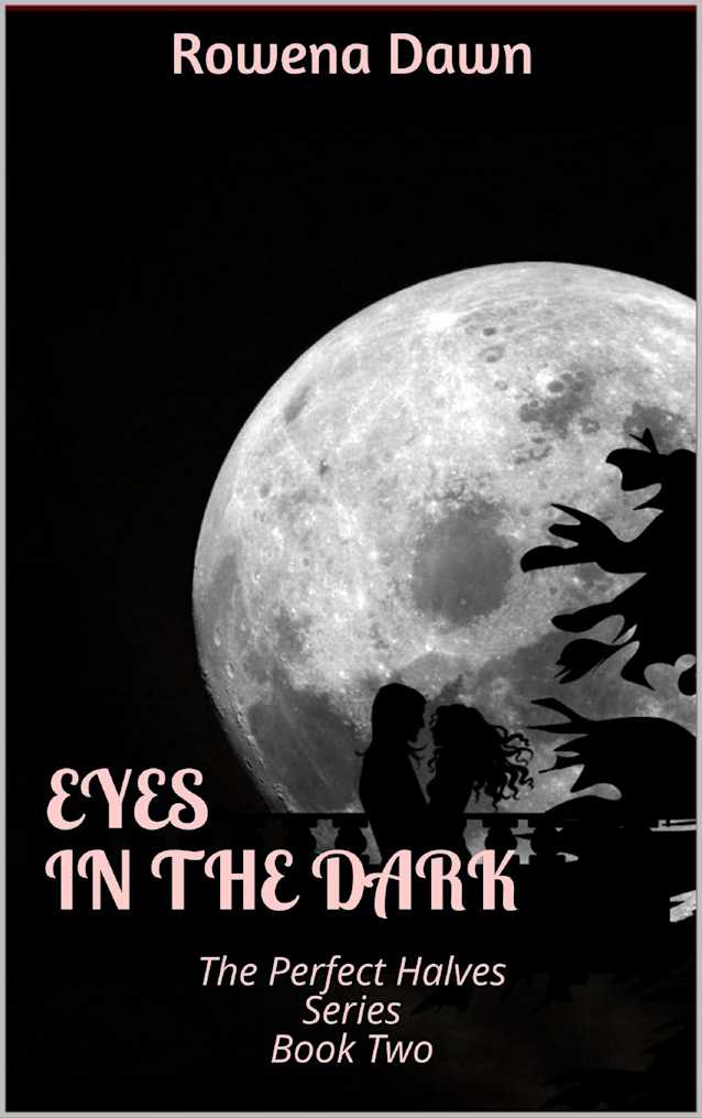Eyes in the Dark (The Perfect Halves, #2)