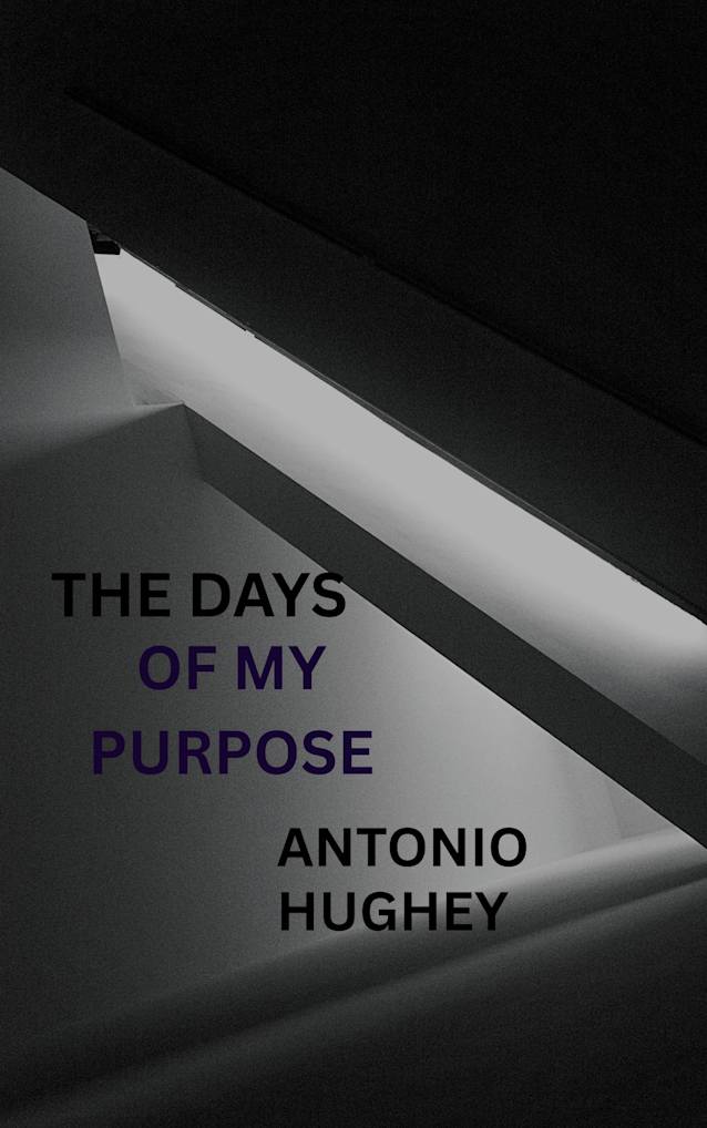 THE DAYS OF MY PURPOSE