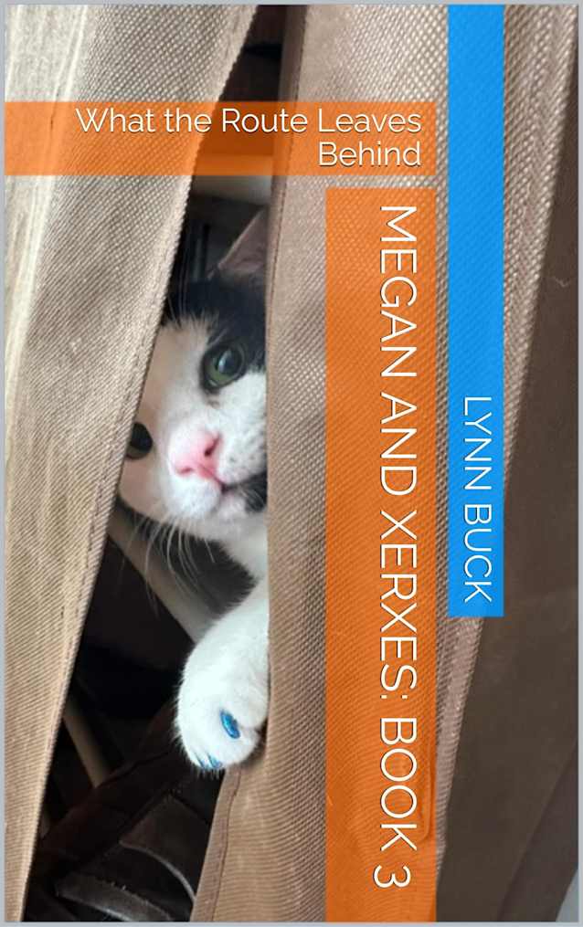 Megan and Xerxes: Book 3: What the Route Leaves Behind