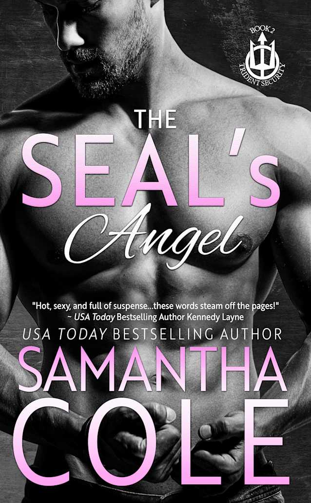 The SEAL's Angel 