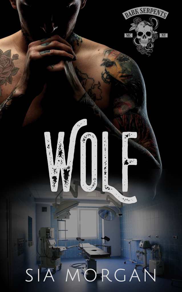 Wolf: A Second Chance Romance (Dark Serpents MC Book 2)