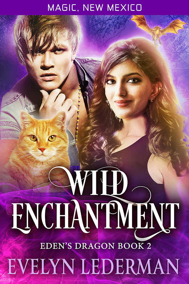 Wild Enchantment: A Magic, New Mexico Novella (Eden’s Dragon Book 2)