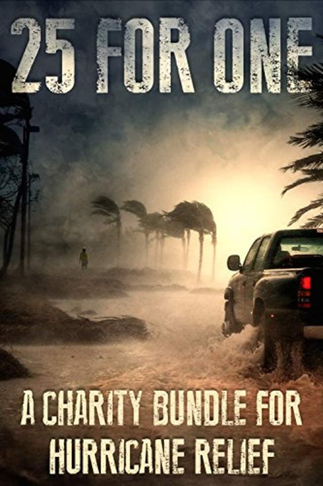 25 For One: A Charity Bundle For Hurricane Relief in TX, FL, PR, and USVI