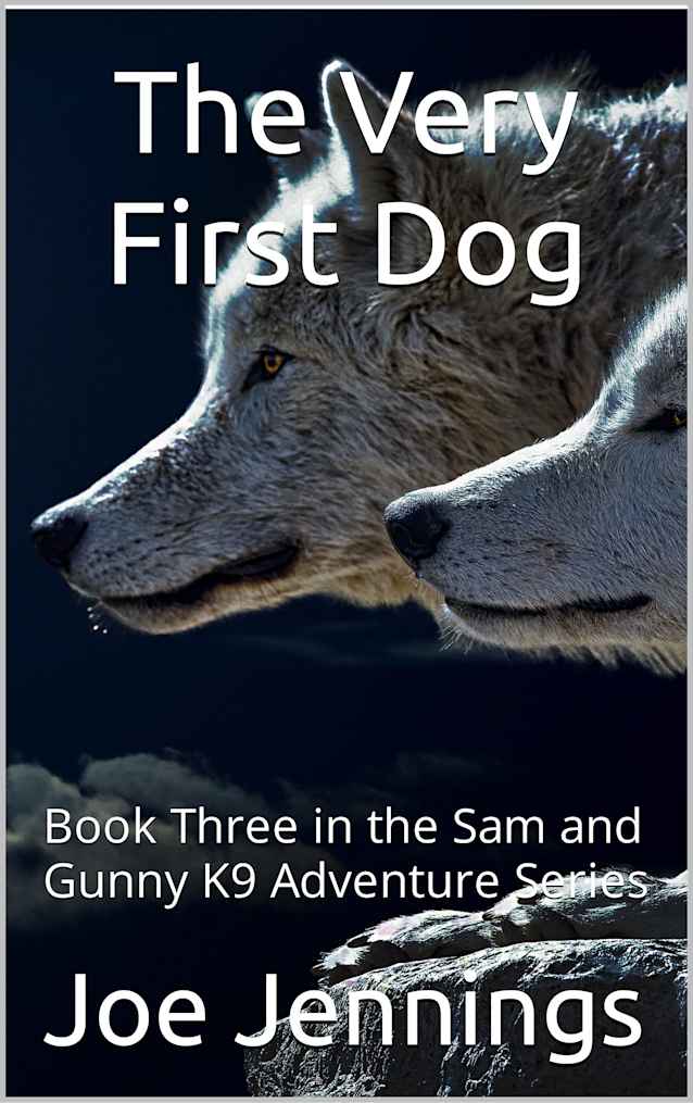 The Very First Dog: Book Three in the Sam and Gunny K9 Adventure Series