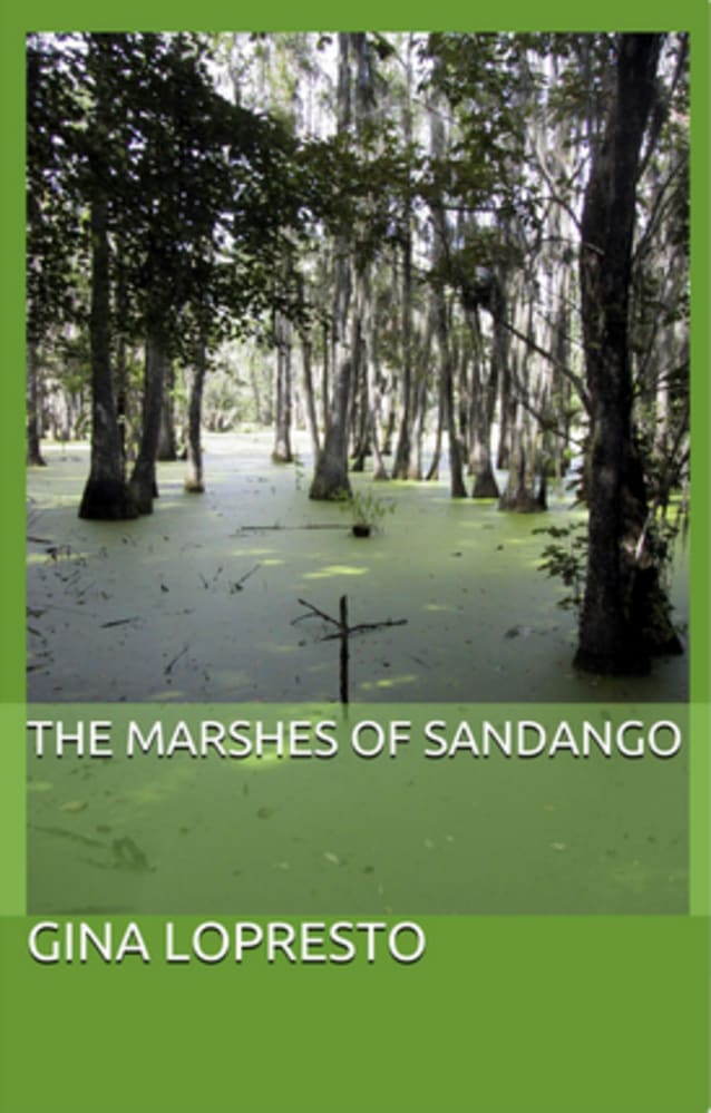 The Marshes of SanDango