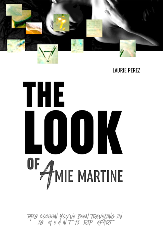 The LOOK of Amie Martine (The Amie Series Book 1)