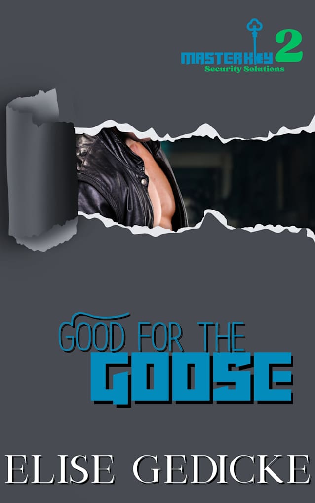Good for the Goose (Master Key Security Solutions Book 2)