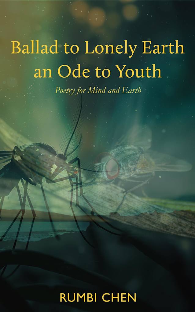 Ballad to Lonely Earth an Ode to Youth