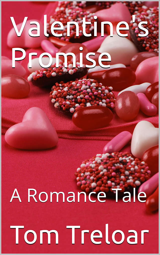 Valentine’s Promise: A Romance Tale