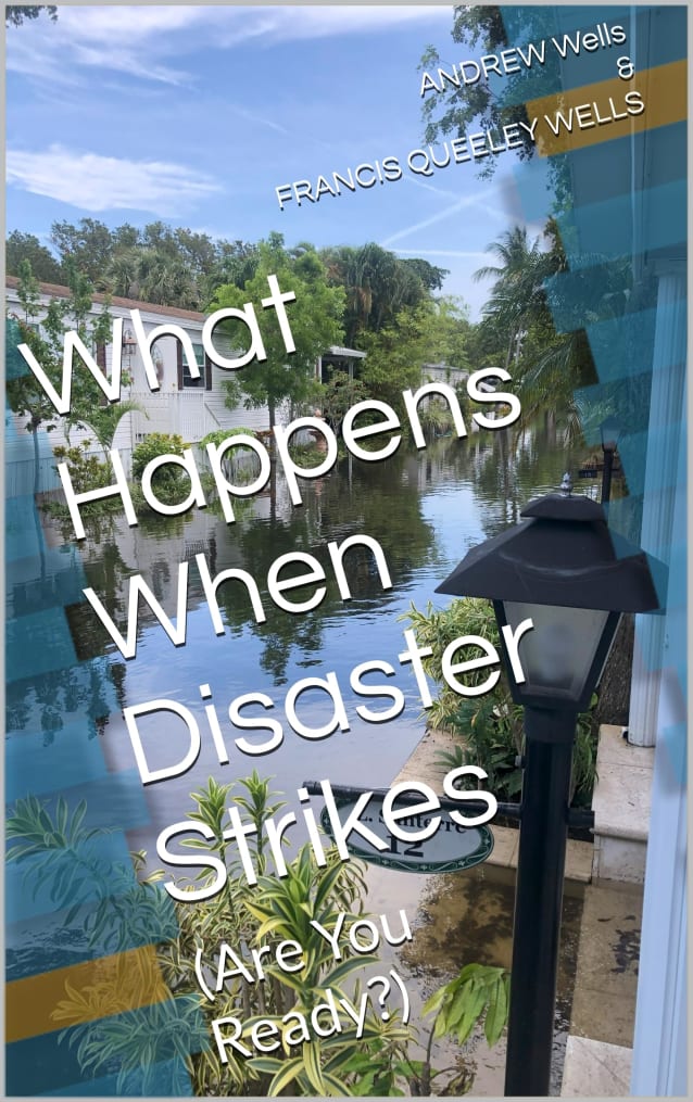 What Happens When Disaster Strikes: (Are You Ready?)