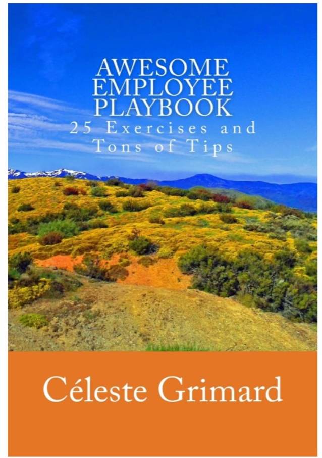  Awesome Employee Playbook