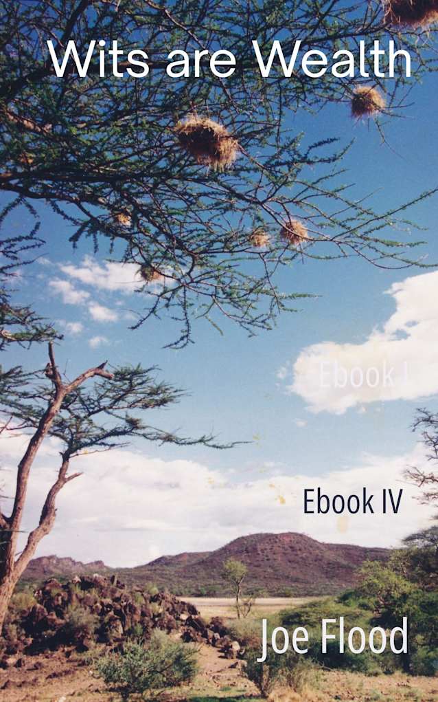 Wits are Wealth: Ebook IV 