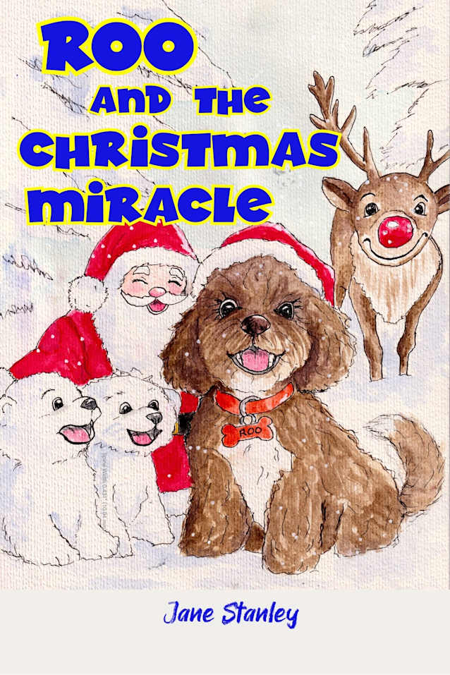 Roo and the Christmas Miracle