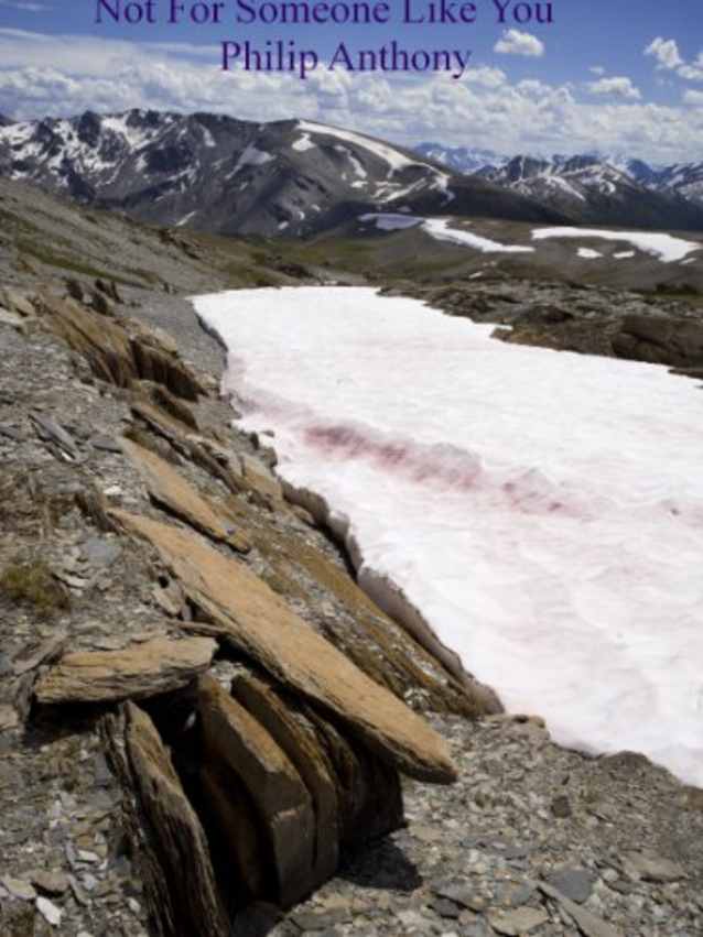 Not For Someone Like You