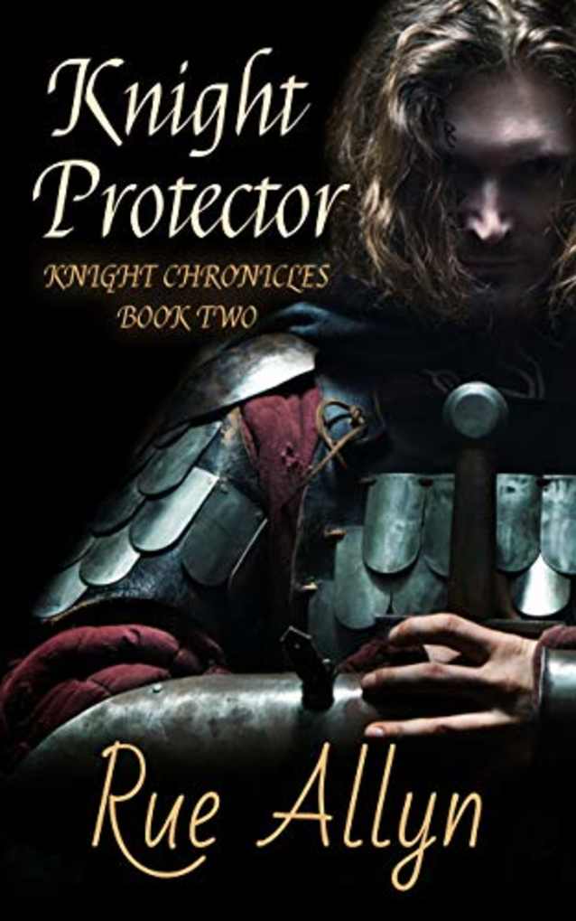 Knight Protector (Knight Chronicles, #2)